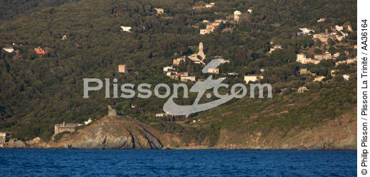 Pino, Cap Corse - © Philip Plisson / Plisson La Trinité / AA36164 - Nos reportages photos - De Bastia au golfe de Santa Manza