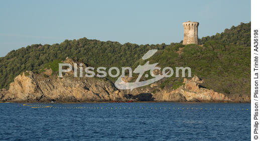 Corsica South East - © Philip Plisson / Plisson La Trinité / AA36198 - Photo Galleries - Corsica