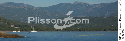 Corse Sud Est - © Philip Plisson / Plisson La Trinité / AA36200 - Nos reportages photos - Corse