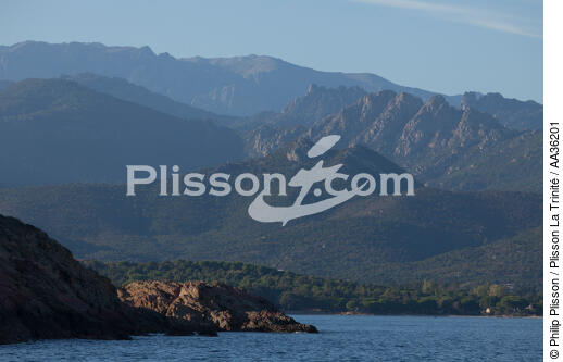 Corse Sud Est - © Philip Plisson / Plisson La Trinité / AA36201 - Nos reportages photos - Corse