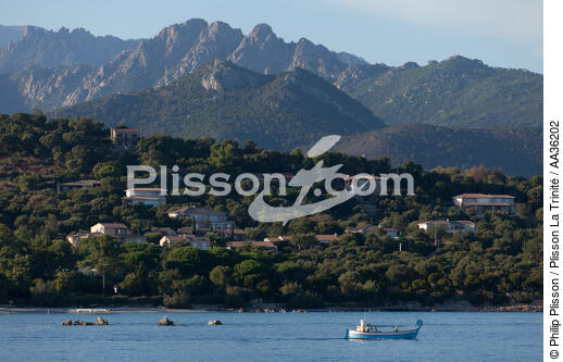 Corsica South East - © Philip Plisson / Plisson La Trinité / AA36202 - Photo Galleries - From Bastia to Santa Manza gulf