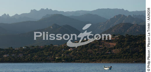 Corsica South East - © Philip Plisson / Plisson La Trinité / AA36208 - Photo Galleries - Fishing vessel