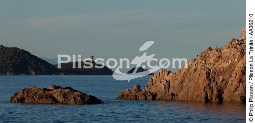 Corse Sud Est - © Philip Plisson / Plisson La Trinité / AA36210 - Nos reportages photos - Corse