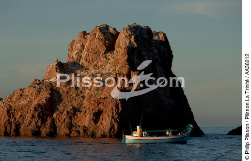 Corse Sud Est - © Philip Plisson / Plisson La Trinité / AA36212 - Nos reportages photos - Pêche