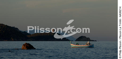Corse Sud Est - © Philip Plisson / Plisson La Trinité / AA36214 - Nos reportages photos - Collection Créative