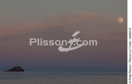 Corsica South East - © Philip Plisson / Plisson La Trinité / AA36215 - Photo Galleries - Star