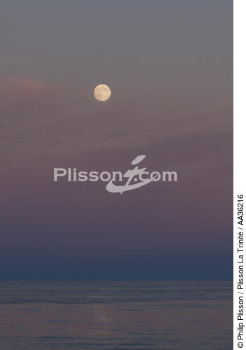 Corse Sud Est - © Philip Plisson / Plisson La Trinité / AA36216 - Nos reportages photos - Vertical