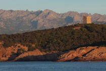 Corsica South East © Philip Plisson / Plisson La Trinité / AA36225 - Photo Galleries - Tower