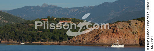 Corse Sud Est - © Philip Plisson / Plisson La Trinité / AA36229 - Nos reportages photos - Mouillage