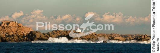 Ile Lavezzi, Corse - © Philip Plisson / Plisson La Trinité / AA36270 - Nos reportages photos - Des îles Lavezzi à Poticcio