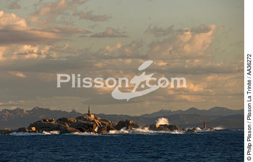 Lavezzi island,Corsica - © Philip Plisson / Plisson La Trinité / AA36272 - Photo Galleries - From Lavezzi islands to Poticcio