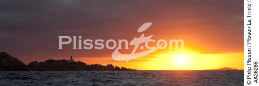 Ile Lavezzi, Corse - © Philip Plisson / Plisson La Trinité / AA36286 - Nos reportages photos - Environnement