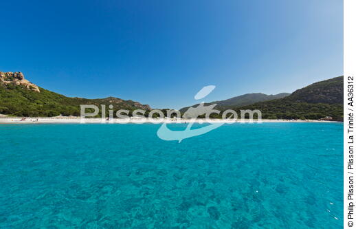 Corsica - © Philip Plisson / Plisson La Trinité / AA36312 - Photo Galleries - Beach
