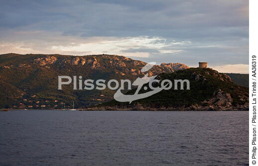 Corse - © Philip Plisson / Plisson La Trinité / AA36319 - Nos reportages photos - Des îles Lavezzi à Poticcio