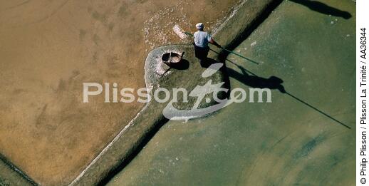 Saltmarsh worker to Guérande - © Philip Plisson / Plisson La Trinité / AA36344 - Photo Galleries - Loire Atlantique 