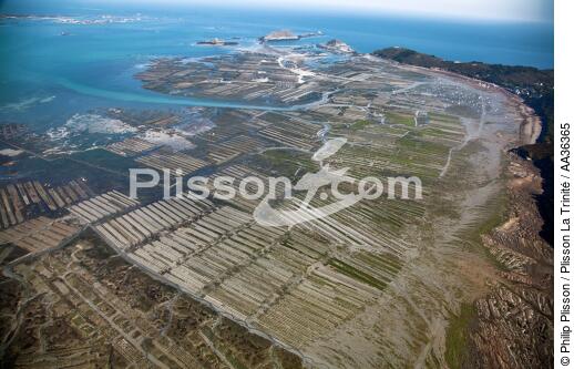 Basse mer en baie de Paimpol - © Philip Plisson / Plisson La Trinité / AA36365 - Nos reportages photos - Marée basse