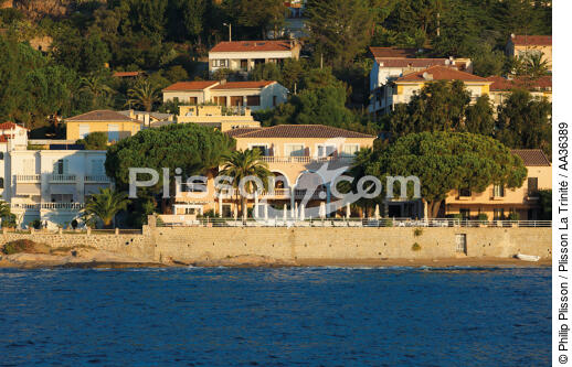 Ajjacio, Corsica - © Philip Plisson / Plisson La Trinité / AA36389 - Photo Galleries - Ajaccio