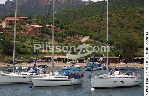 Le golfe de Girolata, Corse - © Philip Plisson / Plisson La Trinité / AA36413 - Nos reportages photos - D'Ajaccio à la pointe de la Revellata