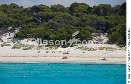 Corsica - © Philip Plisson / Plisson La Trinité / AA36445 - Photo Galleries - From Calvi to Pietranera