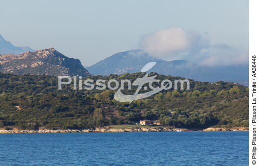 Corse - © Philip Plisson / Plisson La Trinité / AA36446 - Nos reportages photos - De Calvi à Pietranera