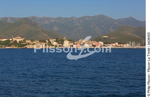 St Florent, Corse - © Philip Plisson / Plisson La Trinité / AA36450 - Nos reportages photos - Corse