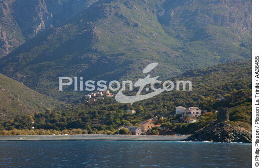 Albo, Corse - © Philip Plisson / Plisson La Trinité / AA36455 - Nos reportages photos - De Calvi à Pietranera