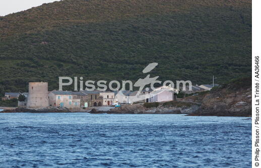 Tollare, Corsica - © Philip Plisson / Plisson La Trinité / AA36466 - Photo Galleries - Corsica
