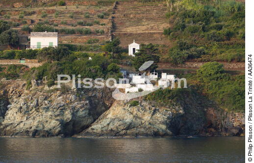 Poticciolo, Corsica - © Philip Plisson / Plisson La Trinité / AA36474 - Photo Galleries - From Calvi to Pietranera