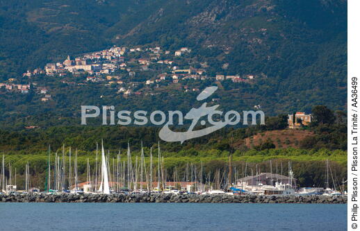 Le port de Campoloro-Taverna, Corse - © Philip Plisson / Plisson La Trinité / AA36499 - Nos reportages photos - Corse