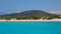 Saleccia beach, Corsica © Philip Plisson / Plisson La Trinité / AA36537 - Photo Galleries - Geomorphology