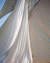 Classic week sails © Philip Plisson / Plisson La Trinité / AA36598 - Photo Galleries - Vertical