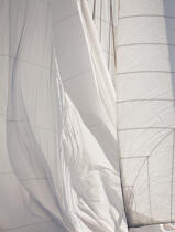 Classic week sails © Philip Plisson / Plisson La Trinité / AA36599 - Photo Galleries - Vertical