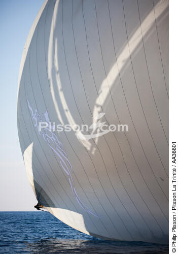 Classic week sails - © Philip Plisson / Plisson La Trinité / AA36601 - Photo Galleries - Vertical