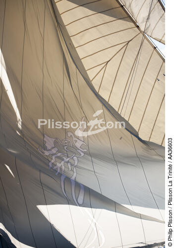 Les voiles de la classic week - © Philip Plisson / Plisson La Trinité / AA36603 - Nos reportages photos - Déco Marine