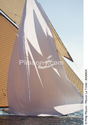 Classic week sails - © Philip Plisson / Plisson La Trinité / AA36604 - Photo Galleries - Marine Decoration