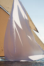 Classic week sails © Philip Plisson / Plisson La Trinité / AA36604 - Photo Galleries - Vertical