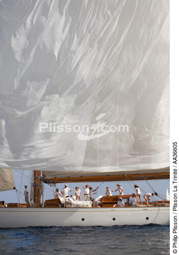 Classic week sails - © Philip Plisson / Plisson La Trinité / AA36605 - Photo Galleries - J Class yacht