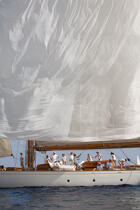 Classic week sails © Philip Plisson / Plisson La Trinité / AA36605 - Photo Galleries - Vertical