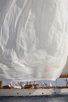 Classic week sails © Philip Plisson / Plisson La Trinité / AA36606 - Photo Galleries - Vertical