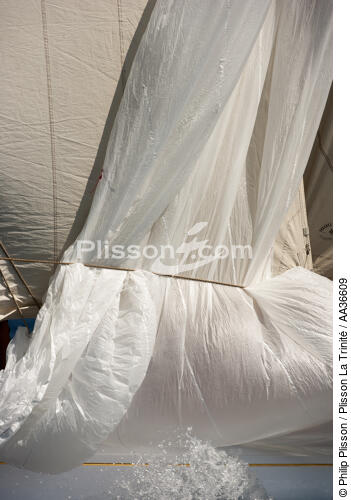 Classic week sails - © Philip Plisson / Plisson La Trinité / AA36609 - Photo Galleries - Marine Decoration