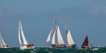 La Semaine du Golfe 2013 © Philip Plisson / Plisson La Trinité / AA36945 - Photo Galleries - Traditional sailing