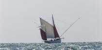 La Semaine du Golfe 2013 © Philip Plisson / Plisson La Trinité / AA36956 - Photo Galleries - Traditional sailing