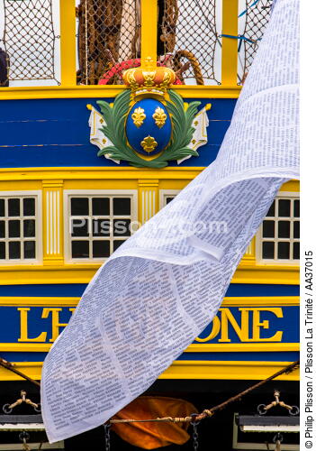 La pose de la mâture de l'Hermione à rochefort - © Philip Plisson / Plisson La Trinité / AA37015 - Nos reportages photos - Elément d'un bateau