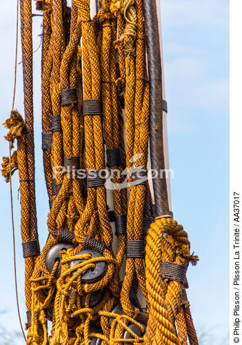 La pose de la mâture de l'Hermione à rochefort - © Philip Plisson / Plisson La Trinité / AA37017 - Nos reportages photos - Monocoque