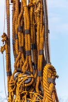 La pose de la mâture de l'Hermione à rochefort © Philip Plisson / Plisson La Trinité / AA37017 - Nos reportages photos - Elément d'un bateau