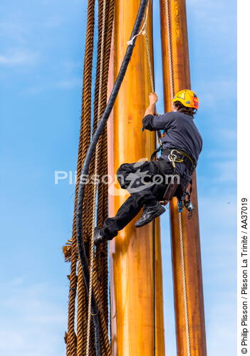 La pose de la mâture de l'Hermione à rochefort - © Philip Plisson / Plisson La Trinité / AA37019 - Nos reportages photos - Monocoque