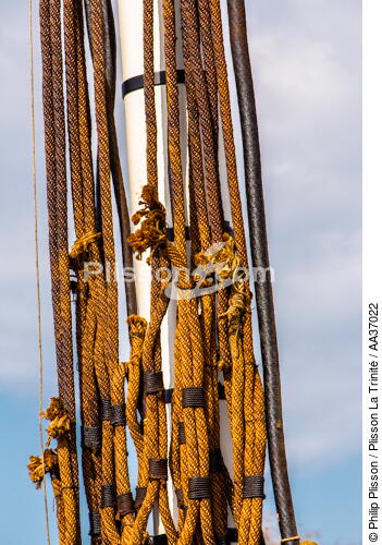 La pose de la mâture de l'Hermione à rochefort - © Philip Plisson / Plisson La Trinité / AA37022 - Nos reportages photos - Vieux gréement