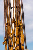 La pose de la mâture de l'Hermione à rochefort © Philip Plisson / Plisson La Trinité / AA37022 - Nos reportages photos - Mâture