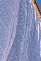 La pose de la mâture de l'Hermione à rochefort © Philip Plisson / Plisson La Trinité / AA37023 - Nos reportages photos - Vieux gréement