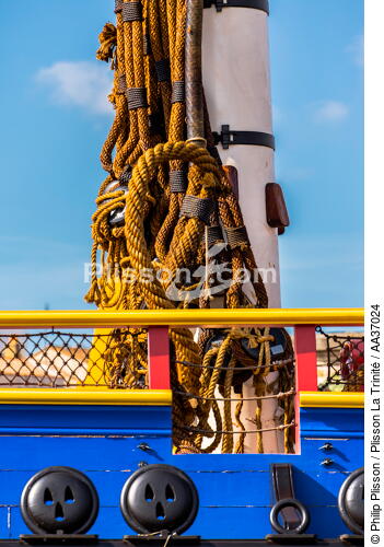 La pose de la mâture de l'Hermione à rochefort - © Philip Plisson / Plisson La Trinité / AA37024 - Nos reportages photos - Hermione